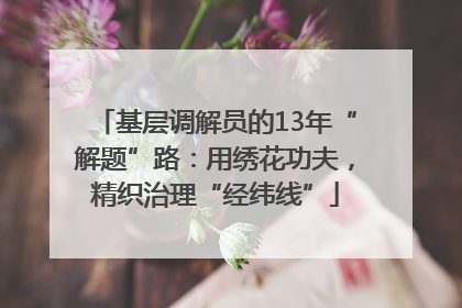基层调解员的13年“解题”路：用绣花功夫，精织治理“经纬线”