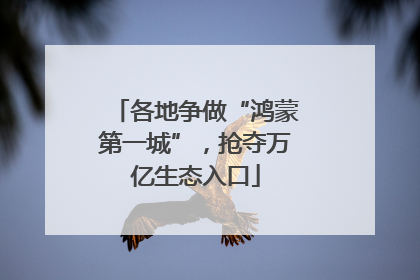 各地争做“鸿蒙第一城”，抢夺万亿生态入口