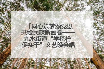 同心筑梦颂党恩 共绘民族新画卷——九水街道“学榜样 促实干”文艺晚会唱响民族团结主旋律