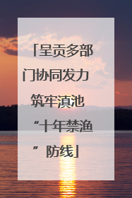 呈贡多部门协同发力 筑牢滇池“十年禁渔”防线