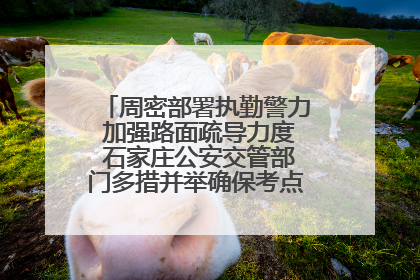 周密部署执勤警力 加强路面疏导力度 石家庄公安交管部门多措并举确保考点周边交通环境良好