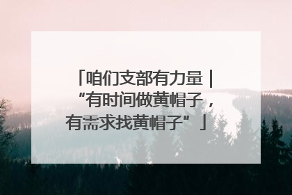 咱们支部有力量｜“有时间做黄帽子，有需求找黄帽子”