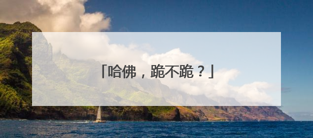 哈佛，跪不跪？