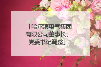哈尔滨电气集团有限公司董事长、党委书记调整