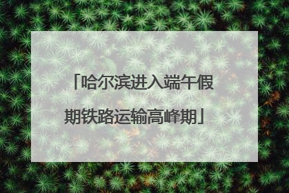 哈尔滨进入端午假期铁路运输高峰期