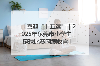 喜迎“十五运”｜2025年东莞市小学生足球比赛圆满收官