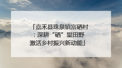 嘉禾县珠泉镇富硒村：深耕“硒”望田野 激活乡村振兴新动能
