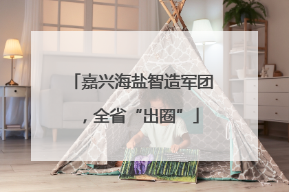 嘉兴海盐智造军团，全省“出圈”
