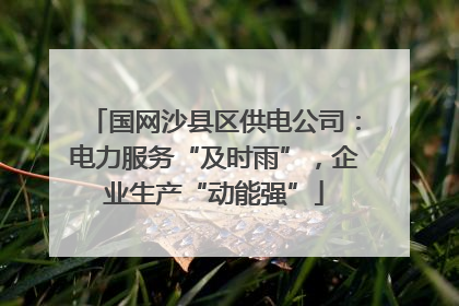 国网沙县区供电公司：电力服务“及时雨”，企业生产“动能强”