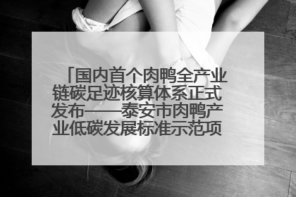 国内首个肉鸭全产业链碳足迹核算体系正式发布——泰安市肉鸭产业低碳发展标准示范项目顺利通过验收