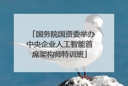 国务院国资委举办中央企业人工智能首席架构师特训班