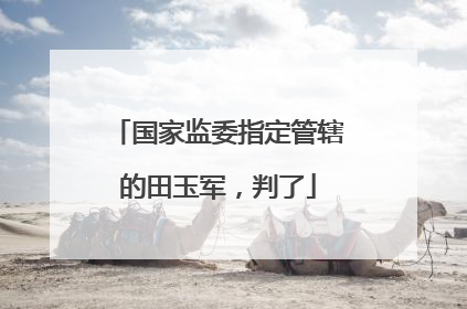 国家监委指定管辖的田玉军，判了
