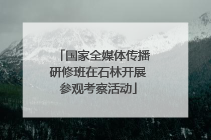 国家全媒体传播研修班在石林开展参观考察活动