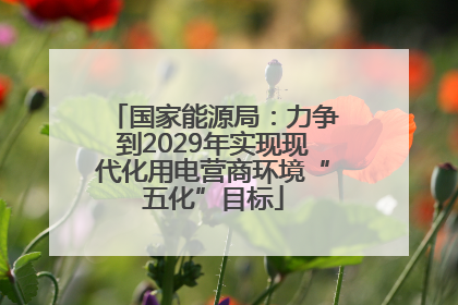 国家能源局：力争到2029年实现现代化用电营商环境“五化”目标