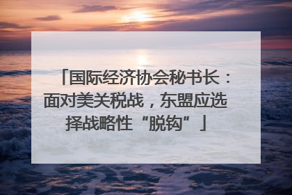 国际经济协会秘书长：面对美关税战，东盟应选择战略性“脱钩”
