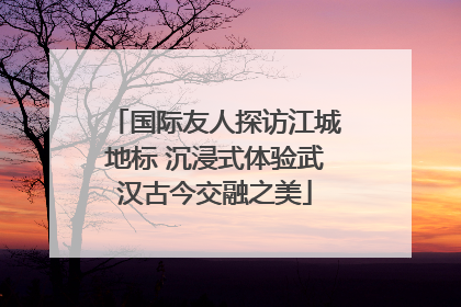 国际友人探访江城地标 沉浸式体验武汉古今交融之美