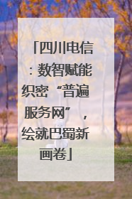 四川电信：数智赋能织密“普遍服务网”，绘就巴蜀新画卷