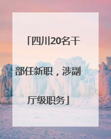 四川20名干部任新职，涉副厅级职务