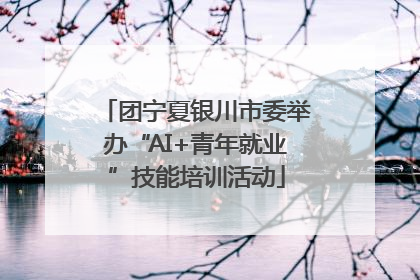 团宁夏银川市委举办“AI+青年就业”技能培训活动