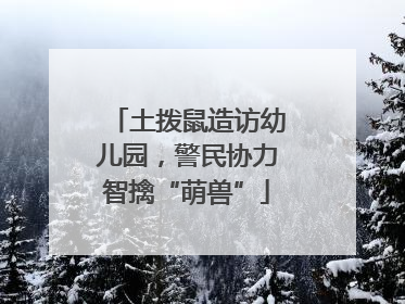 土拨鼠造访幼儿园，警民协力智擒“萌兽”