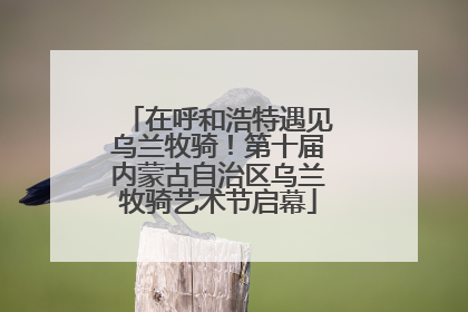 在呼和浩特遇见乌兰牧骑！第十届内蒙古自治区乌兰牧骑艺术节启幕