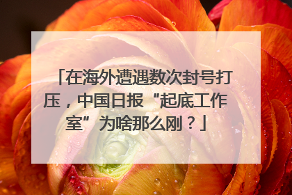 在海外遭遇数次封号打压，中国日报“起底工作室”为啥那么刚？