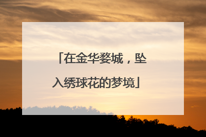 在金华婺城，坠入绣球花的梦境