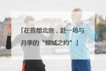 在首都北京，赴一场与月季的“倾城之约”