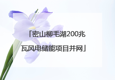 密山柳毛湖200兆瓦风电储能项目并网