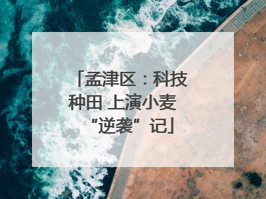 孟津区：科技种田 上演小麦“逆袭”记