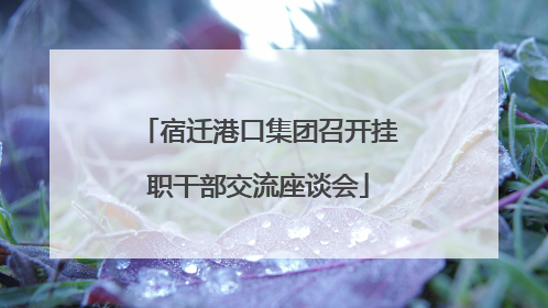 宿迁港口集团召开挂职干部交流座谈会