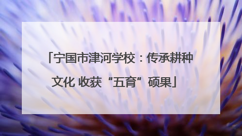 宁国市津河学校：传承耕种文化 收获“五育”硕果
