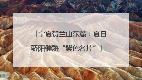 宁夏贺兰山东麓：夏日骄阳催熟“紫色名片”