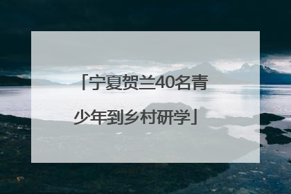 宁夏贺兰40名青少年到乡村研学