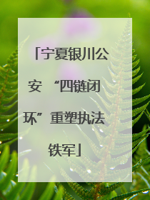 宁夏银川公安 “四链闭环”重塑执法铁军