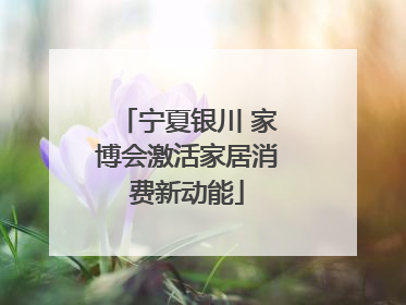 宁夏银川 家博会激活家居消费新动能