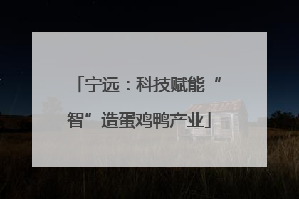 宁远：科技赋能“智”造蛋鸡鸭产业