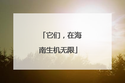 它们，在海南生机无限
