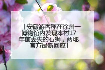 安徽游客称在徐州一博物馆内发现本村17年前丢失的石狮，两地官方最新回应
