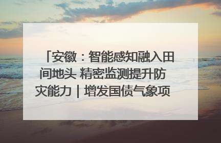 安徽：智能感知融入田间地头 精密监测提升防灾能力｜增发国债气象项目落地见效系列报道