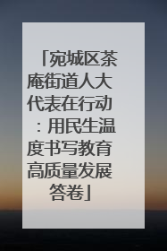 宛城区茶庵街道人大代表在行动：用民生温度书写教育高质量发展答卷
