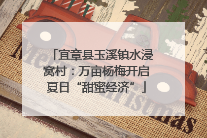 宜章县玉溪镇水浸窝村：万亩杨梅开启夏日“甜蜜经济”
