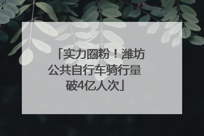 实力圈粉！潍坊公共自行车骑行量破4亿人次