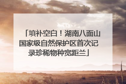 填补空白！湖南八面山国家级自然保护区首次记录珍稀物种宽距兰