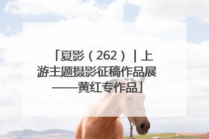 夏影（262）｜上游主题摄影征稿作品展——黄红专作品