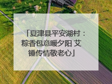 夏津县平安湖村：粽香包意暖夕阳 艾锤传情敬老心