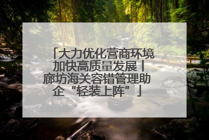 大力优化营商环境 加快高质量发展丨廊坊海关容错管理助企“轻装上阵”