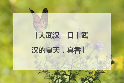 大武汉一日丨武汉的夏天，真香