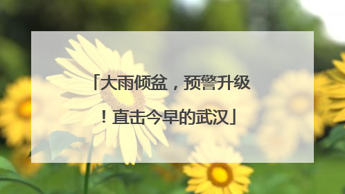大雨倾盆，预警升级！直击今早的武汉