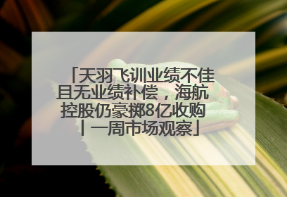 天羽飞训业绩不佳且无业绩补偿，海航控股仍豪掷8亿收购丨一周市场观察